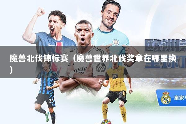 魔兽北伐锦标赛（魔兽世界北伐奖章在哪里换）